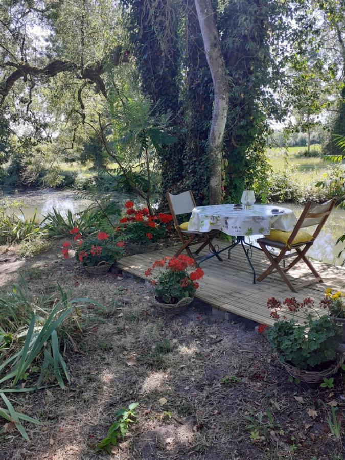 Gite " Jardin Peyrona" Visite Zoo Beauval Et Chateaux De Loire Beaulieu-les-Loches Exterior photo
